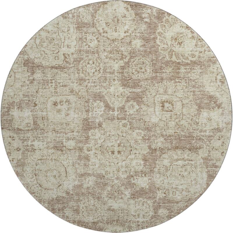 Premium Washable Super Soft Vintage Traditional Mayfield Rug