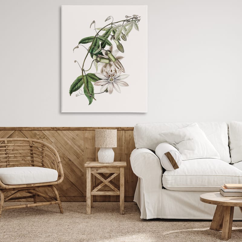 Stupell Vintage Lily Plant Canvas Wall Art Design By CAD Designs