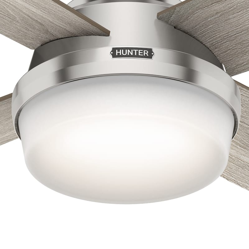 Hunter 52" Dempsey Flush Mount Ceiling Fan w/ LED Light Kit, Handheld Remote - Contemporary, Transitional - Low Profile