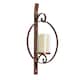 Kate and Laurel Doria Round Glass and Metal Wall Sconce - 12x22