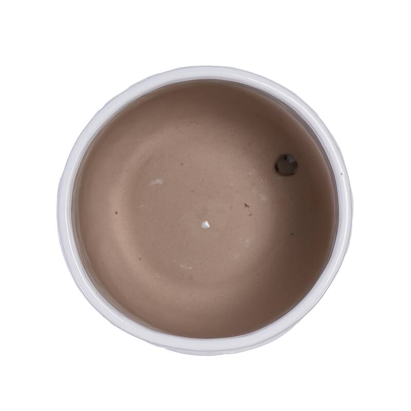 Set of 2 Handmade Modern Embossed Leaf Ceramic Planters with Saucers