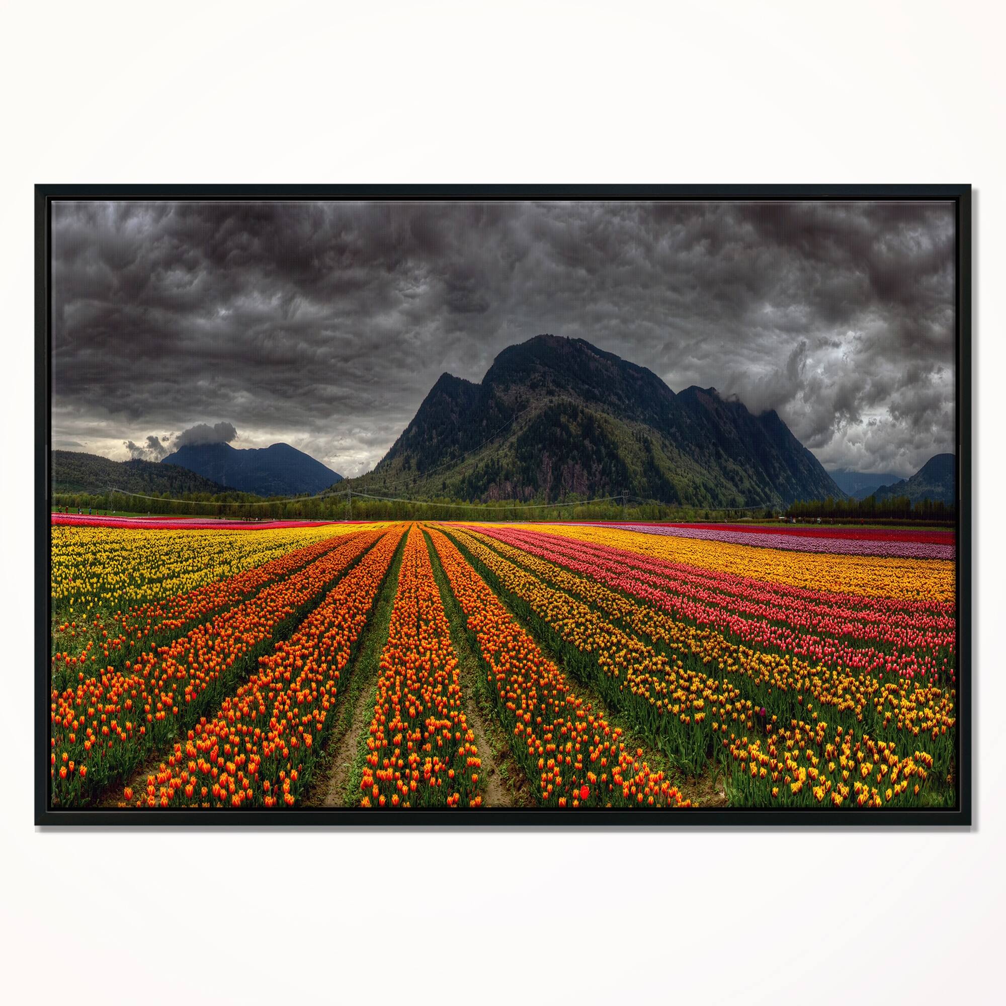 Designart "Beautiful Colored Tulips Panorama" Large Landscape Framed