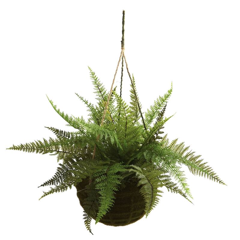 Hanging Fern Plant Set of 2, Moss Basket Decor, 13"H, Indoor Outdoor Greenery, Gothic Glamour Home Decor - 1.08ft.
