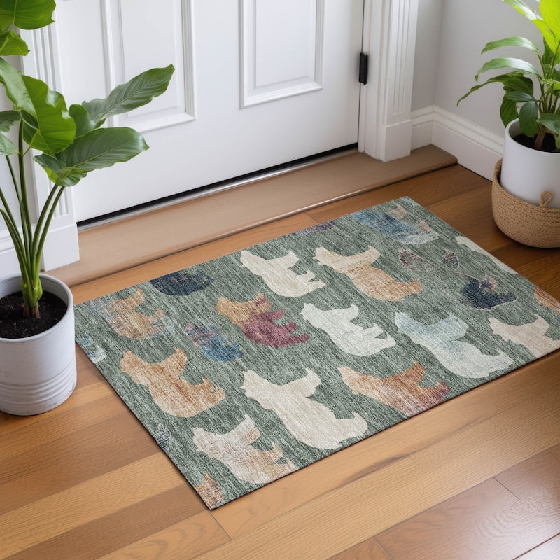 Machine Washable Indoor/ Outdoor Modern Bear Chantille Rug