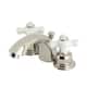 Option Polished Nickel