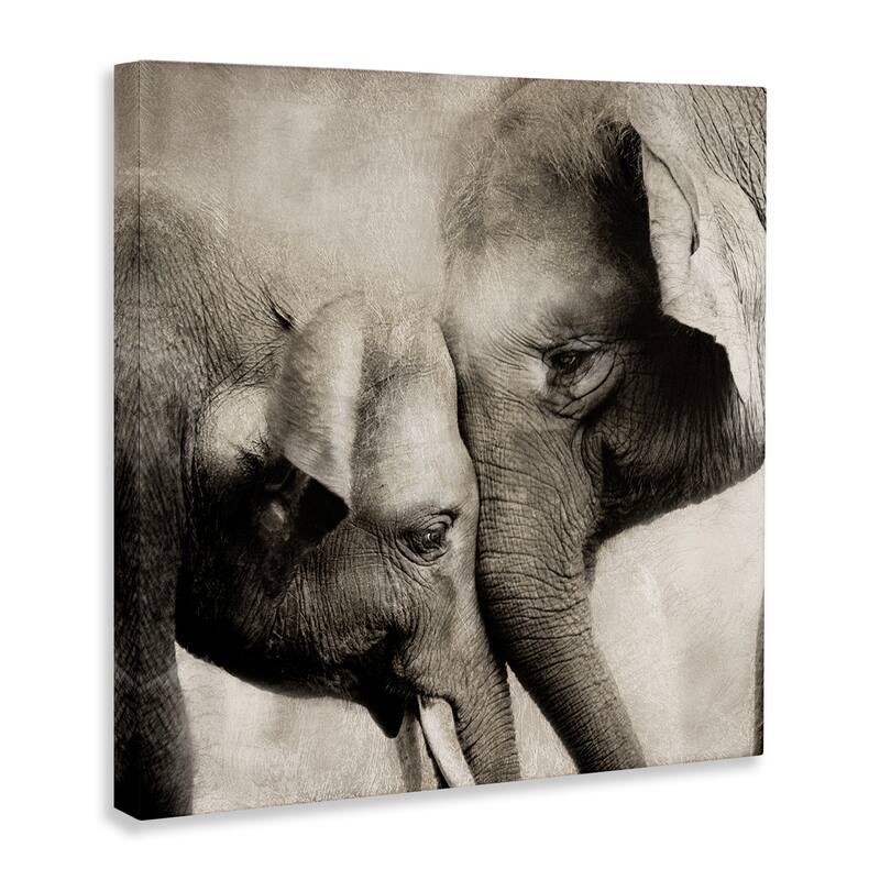 Stupell Elephant & Baby Hug Canvas Wall Art Design By CAD Designs