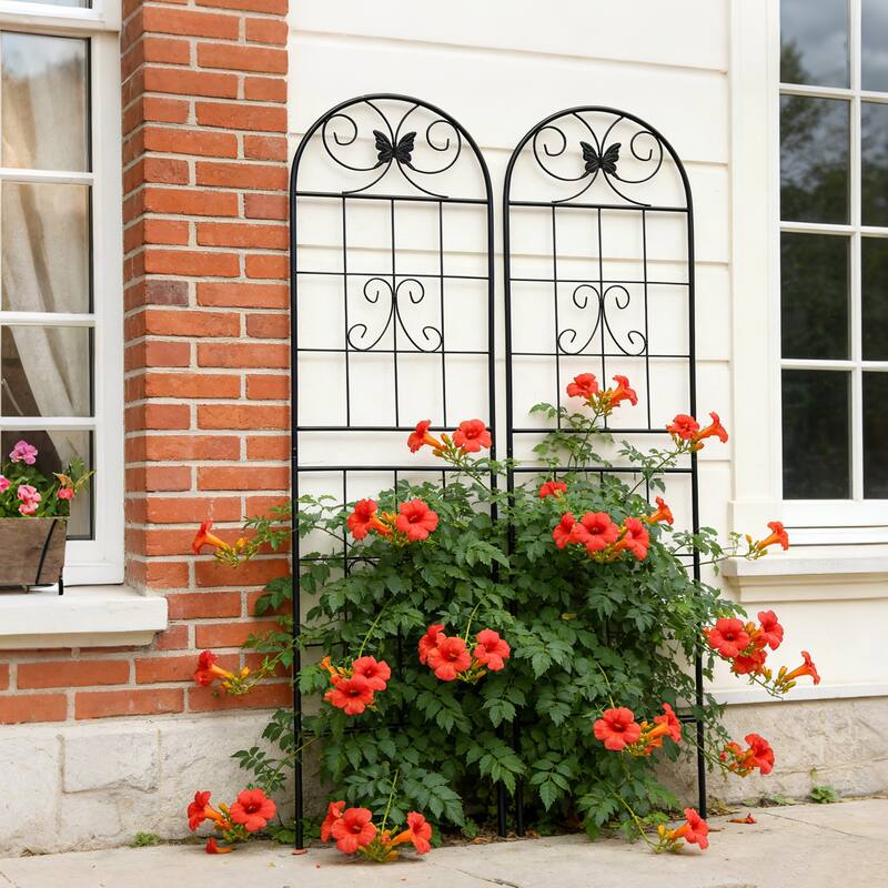 Anmytek Decorative Metal Garden Trellis Set of 2 with Arch Top Daisy Motifs Green Weather Resistant Climbing Plant Support