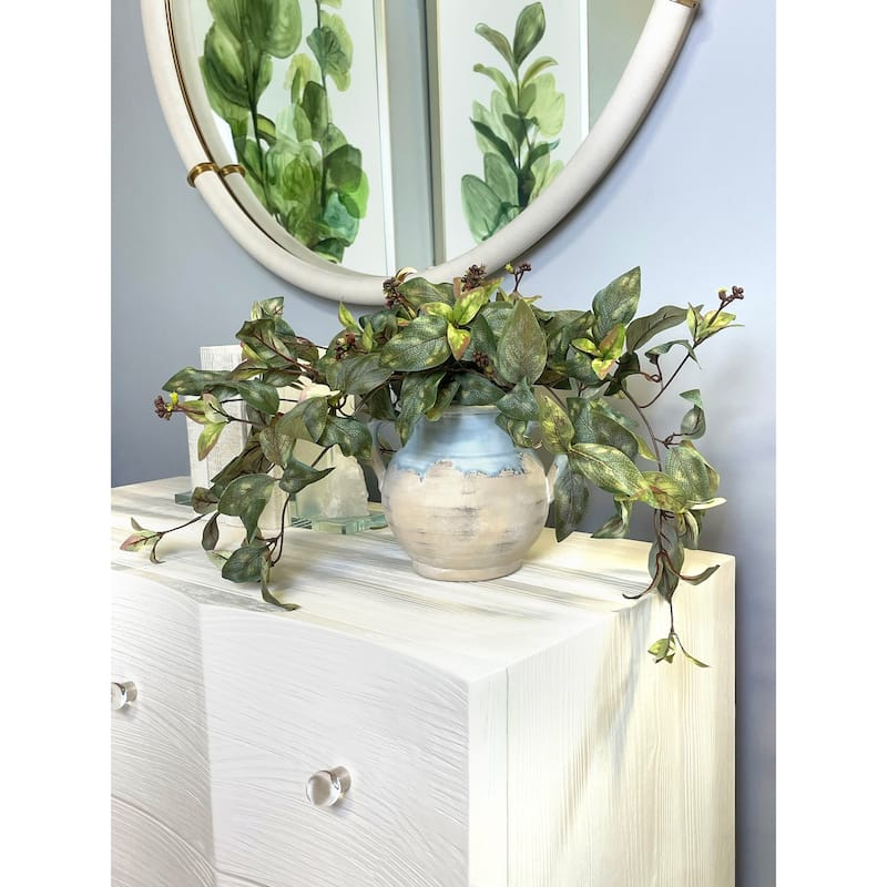 Ivy Arrangement in a Clay Pot