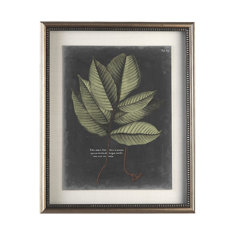 Foliage Dramatique III Framed Art Print