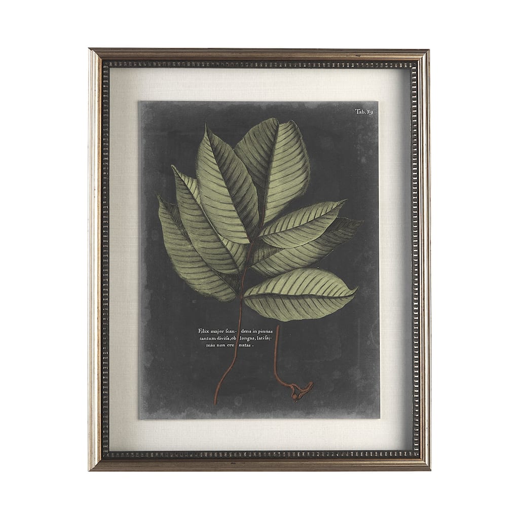 Foliage Dramatique III Framed Art Print
