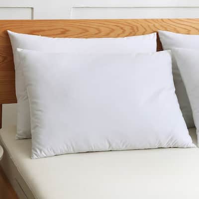 St. James Home Cotton Silver Goose Nano Feather Pillows (Set of 2) - White