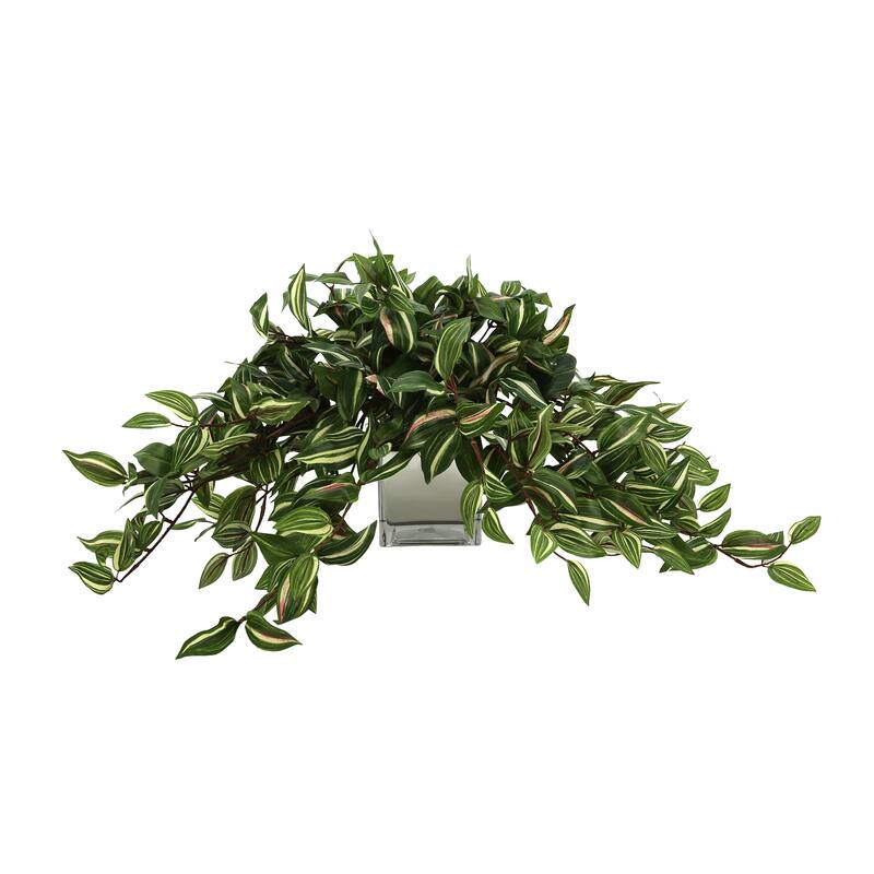 Ivy Arrangement in a Square Glass Pot - Green