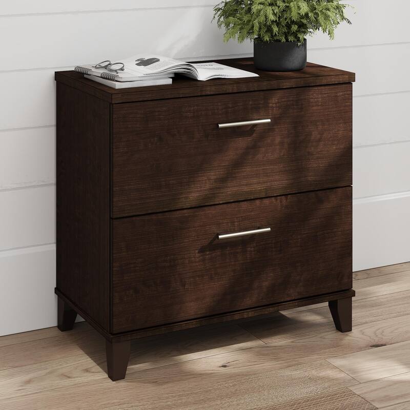 Bush Furniture Somerset 2 Drawer Lateral File Cabinet with Storage