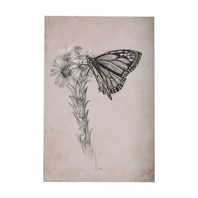 Wild Aster With Monarch Butterfly Drawing III (30 x 45) Canvas Art Print