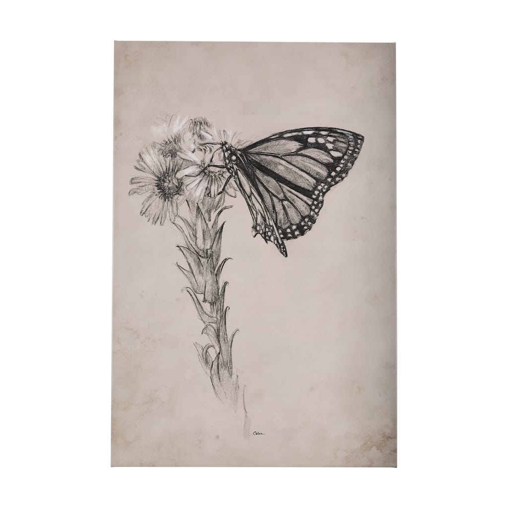 Wild Aster With Monarch Butterfly Drawing III (40 x 60) Canvas Art Print