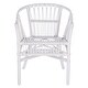 preview thumbnail 5 of 14, SAFAVIEH Adriana Rattan Accent Chairs (Set of 2) - 22.8" W x 23.6" L x 30.3" H