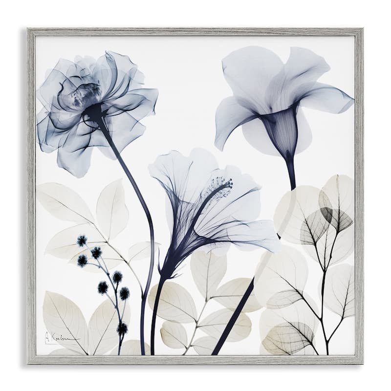 Stupell Sophisticated Minimal Flowers Framed Giclee Art Design By Albert Koetsier - 24 x 24 - Grey