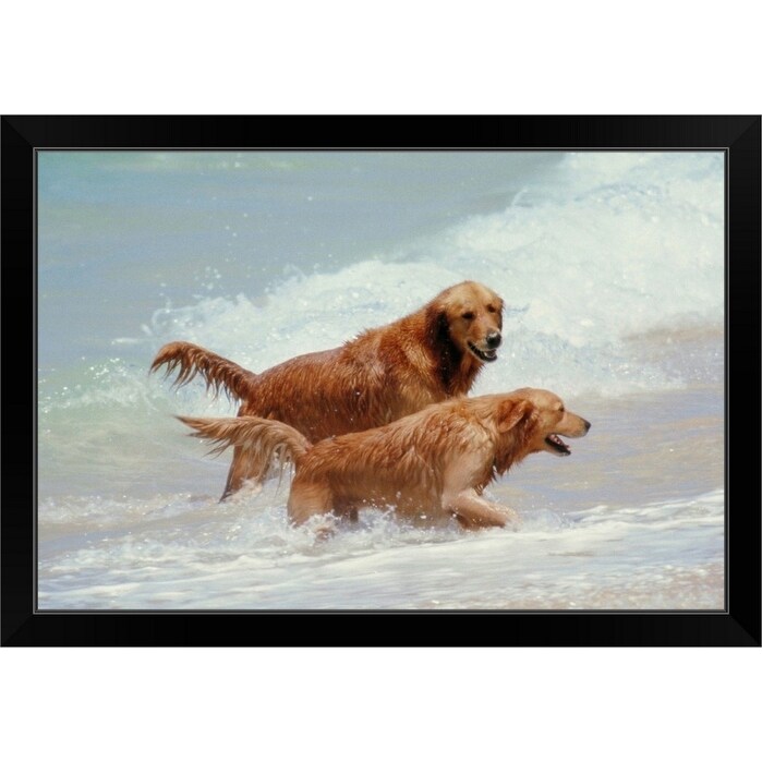 Two Golden Retrievers In The Surf In Hawaii Black Framed Print On Sale Overstock 30192025