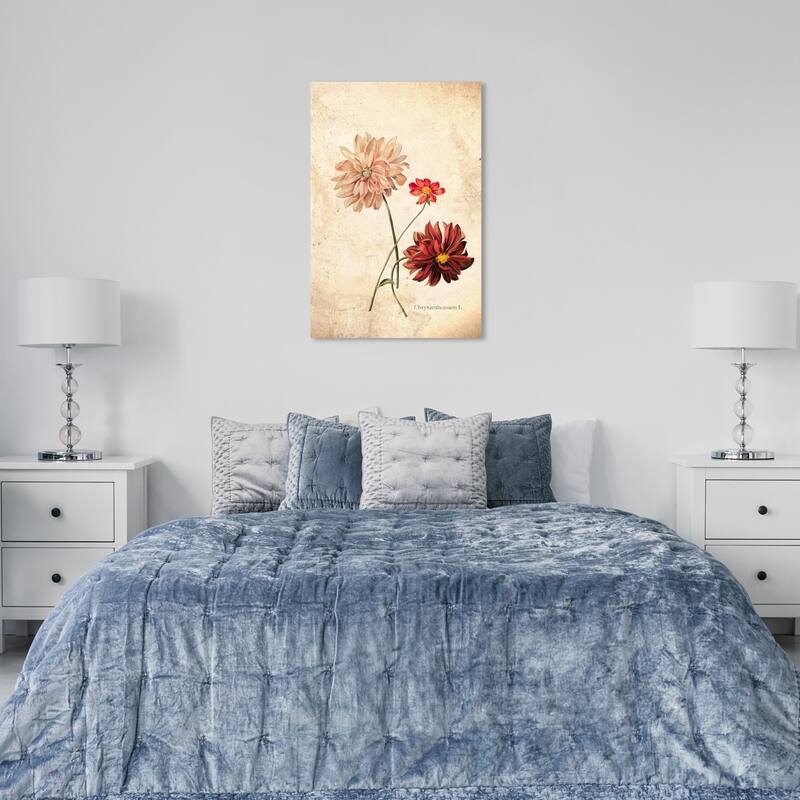 Wynwood Studio Canvas Floral and Botanical Chrysanthemum Botanical White and Vanilla Traditional Wall Art Canvas Print - 24 x 36
