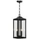 preview thumbnail 1 of 10, 2-Light Black Large Transitional Outdoor Hanging Pendant Light with Clear Glass - 20 in. H 20 in. H