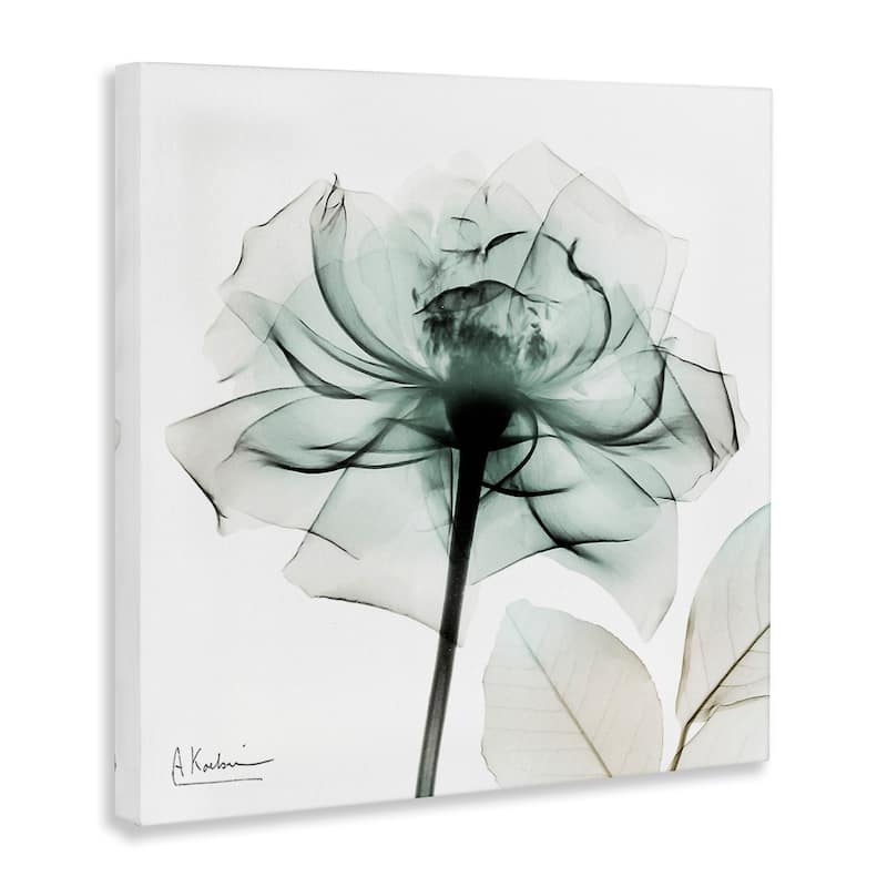 Stupell Transparent Flower Blossom Canvas Wall Art Design By Albert Koetsier