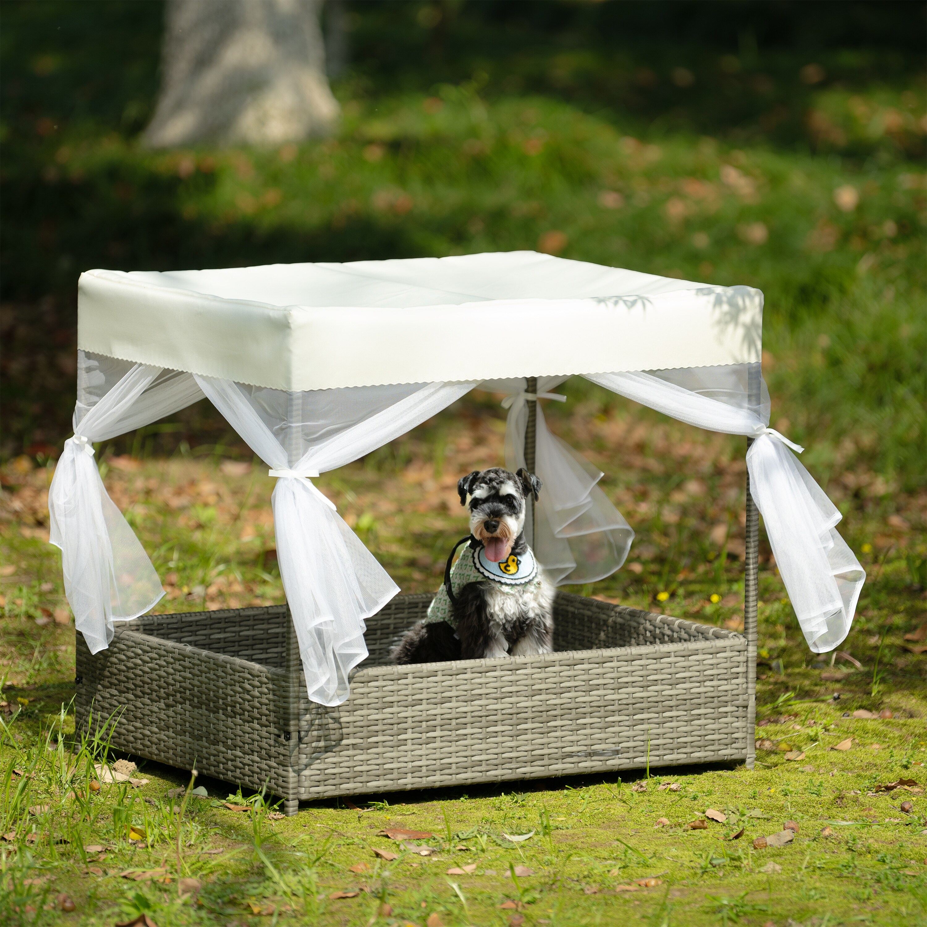 Cute small dog beds sale
