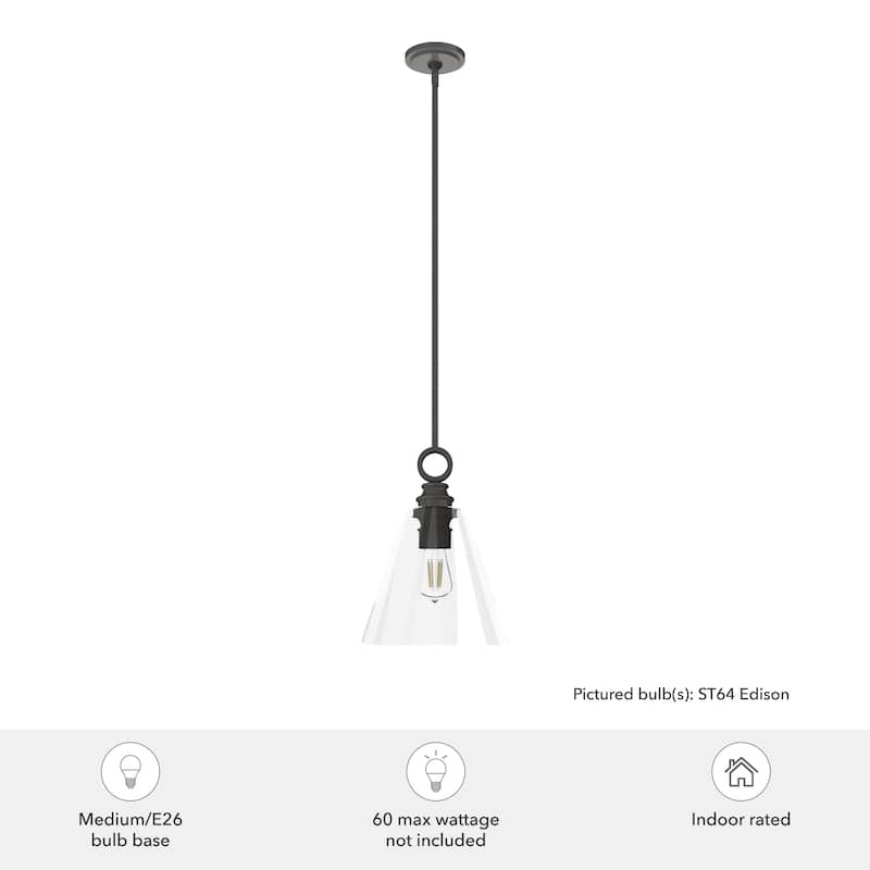 Hunter Klein 12" 1-Light Glass Pendant - Kitchen Island, Dining Room - Industrial, Contemporary, Transitional