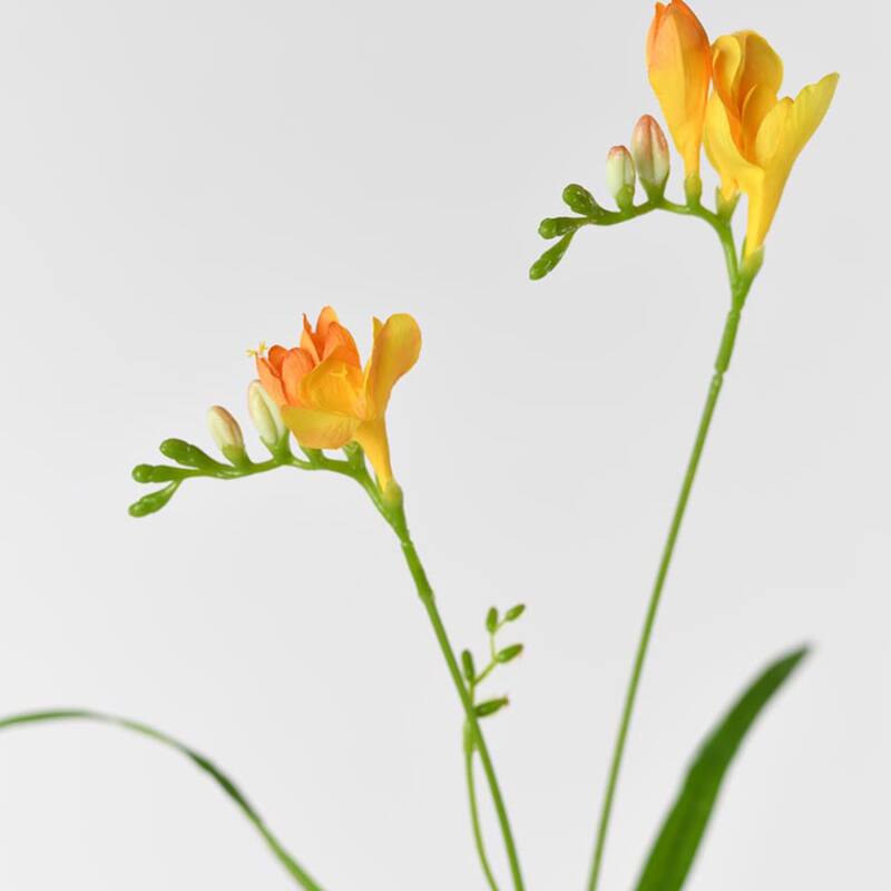 Silk Decorative Artificial Starry Sky Cosmos(Pack of 1 Branch)