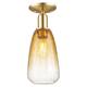 Option Champagne Bronze / Amber Shade