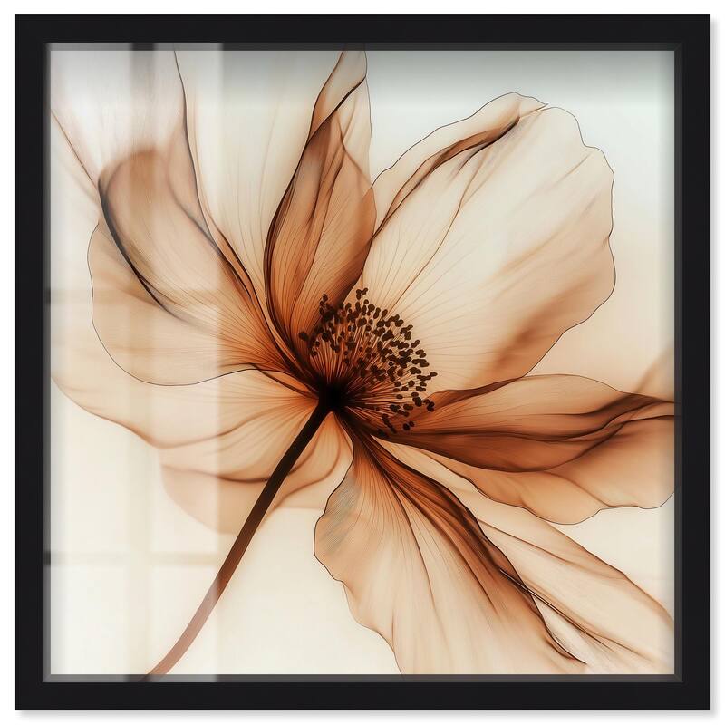 Fragile Elegance I Shadowbox by Art Remedy - Black - 24" x 24"