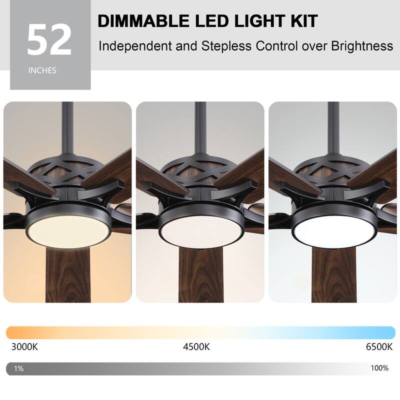 MLiAN 5-Blades DC Motor Indoor Smart Ceiling Fan with Light and Remote