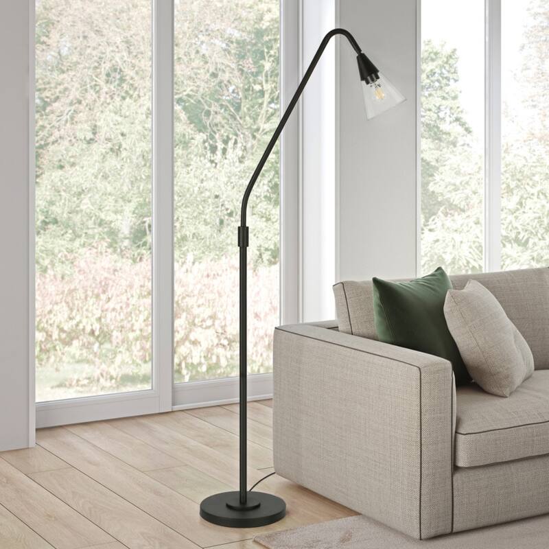 65” Tall Modern Clear Glass Shade Floor Lamp with Dome Shade and Metal Base Plug-In for Living Room - 65" H x 12" W x 29" D