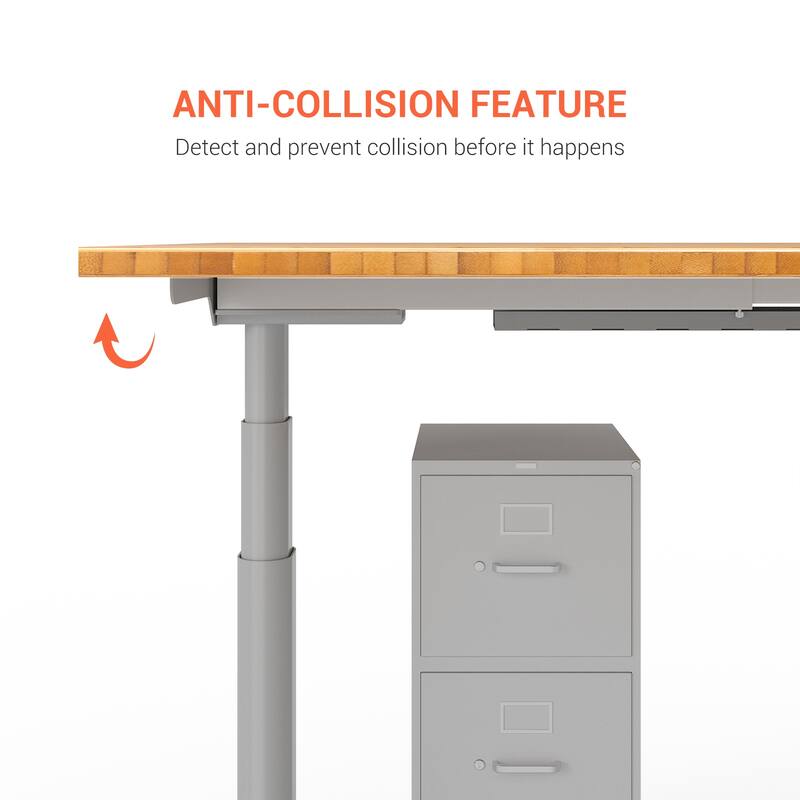 FLEXISPOT Home Office Height Adjustable Standing Desk 3-Stage Dual Motor Bamboo Rectangle Desktop