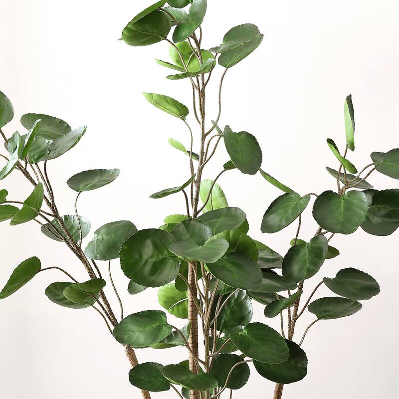 SAFAVIEH Debbra Faux Polyscias Potted Tree - 19.7" W x 19.7" L x 59" H - 20Wx20Dx59H