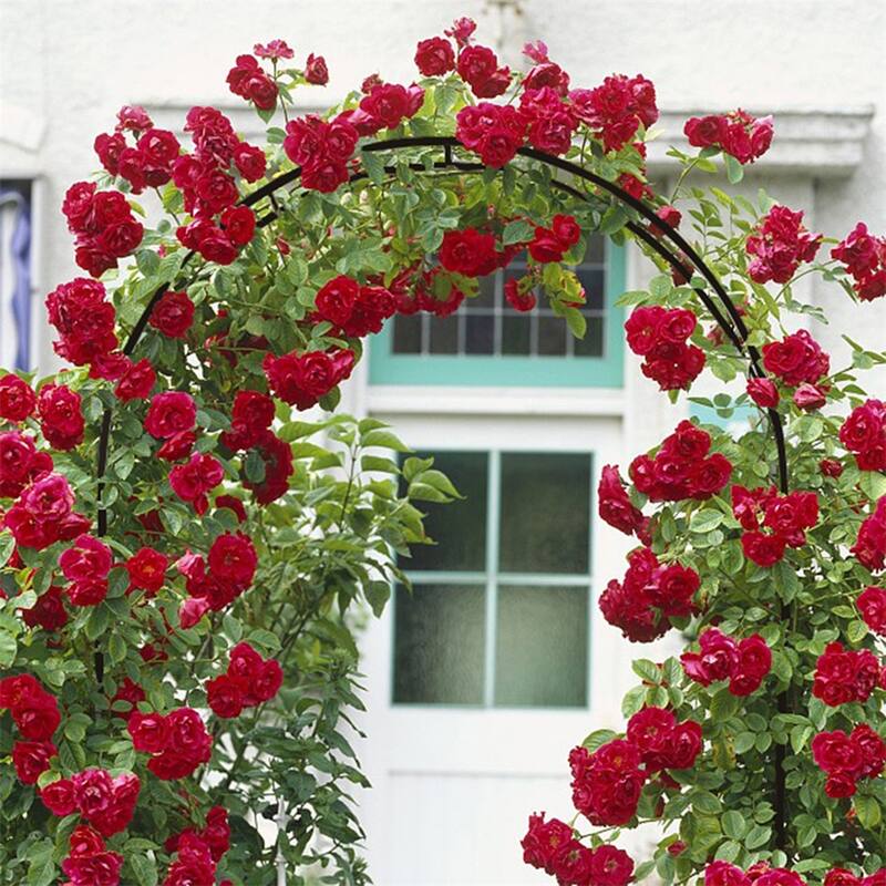 78"H x 45"W Garden Arch Trellis,Adjustable Metal Arbor Trellis