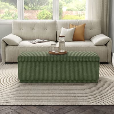 Furniture of America Elyndra Modern Rectangular 47-inch Chenille Storage Bench