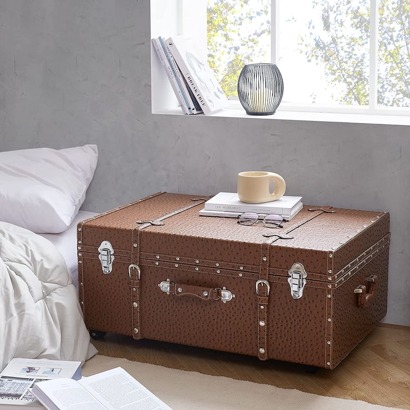 Texture® Brand Trunk - Faux Ostrich by DormCo - 29"L x 20"W x 14"H