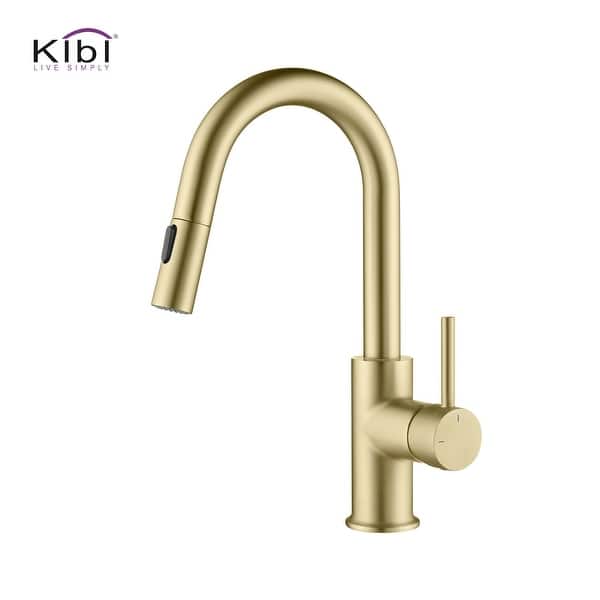 Single-Hole Pull-Down Kitchen Faucet with Sprayer and ...