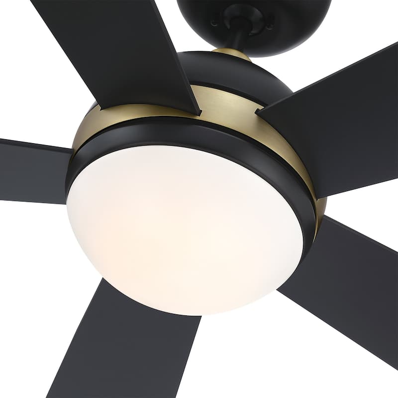 52" Barbeque Black 5-Blade Lighted Acrylic Globe Shade Ceiling Fan with Remote - 52 in. D x 52 in. W x 15.5 in. H