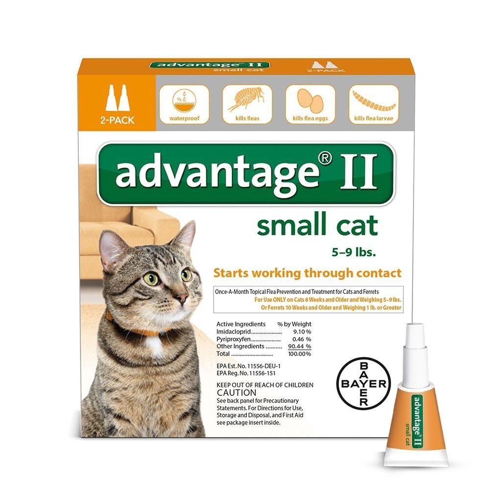 Shop Advantage Flea Control For Cats 1 9 Lbs 2 Month Supply