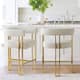 Option Ivory