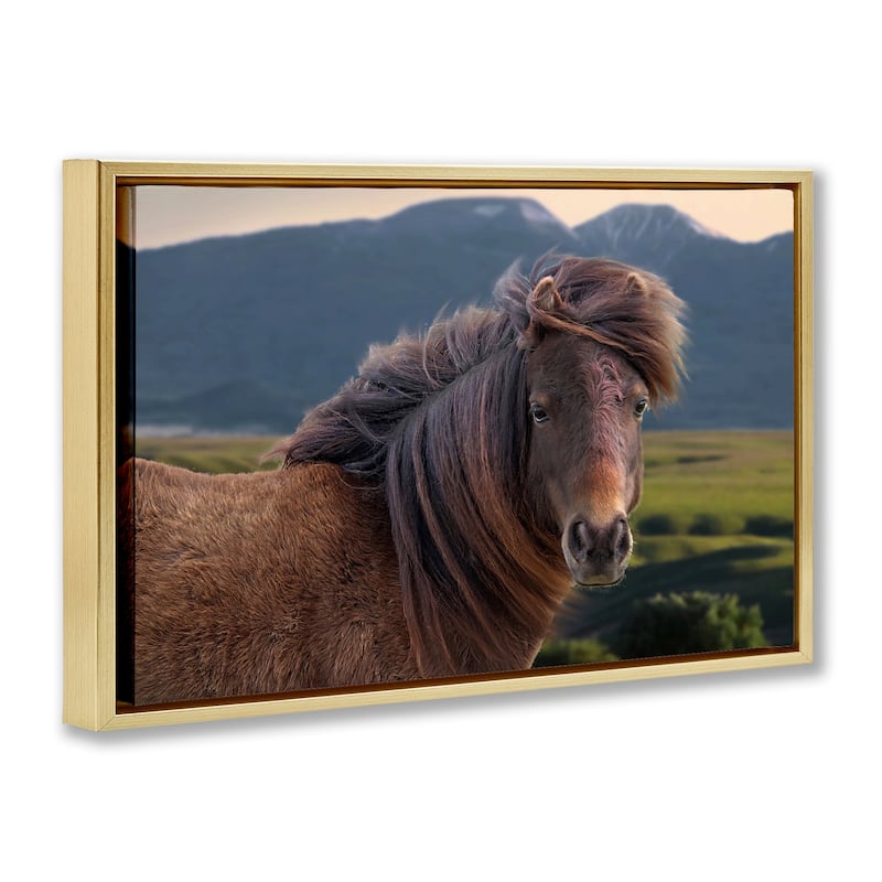 Stupell Windblown Mare in Mountain Valley Framed Floater Canvas Wall Art Design By Steve Toole