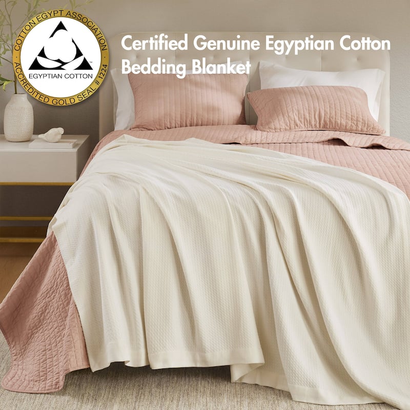 Madison Park Egyptian Cotton Solid Blanket