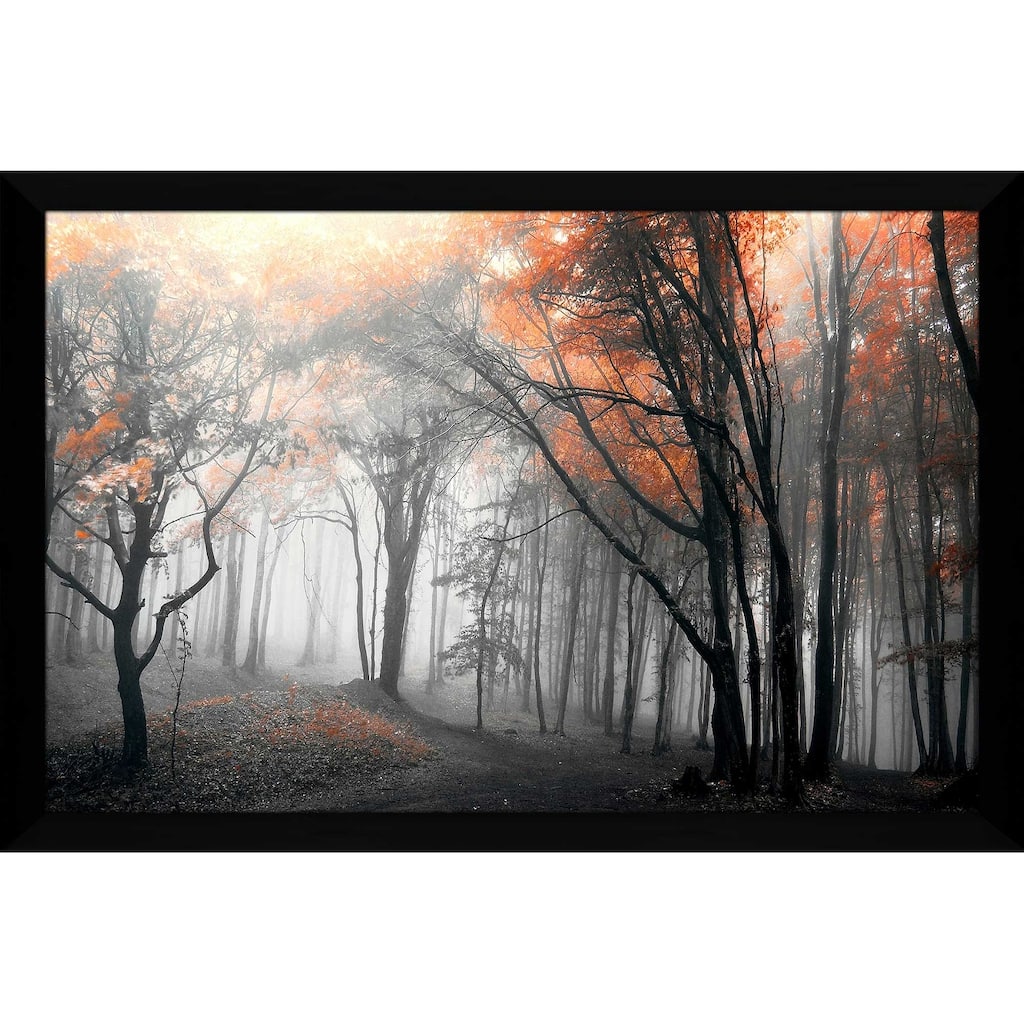 "46 Autumn Woods" by PhotoINC Studio Print on Acrylic
