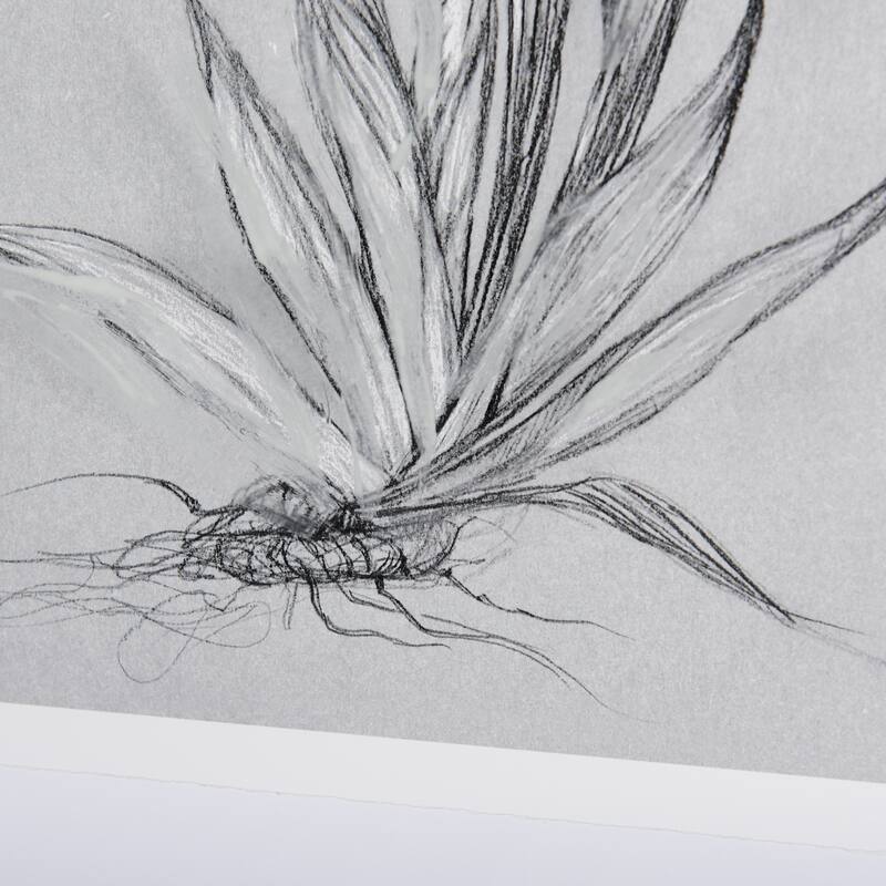 Botanical Sketches IV (Grey) Framed Art Print