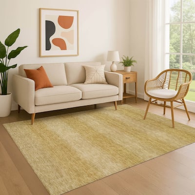 Premium Washable Super Soft Casual Ombre Mayfield Rug