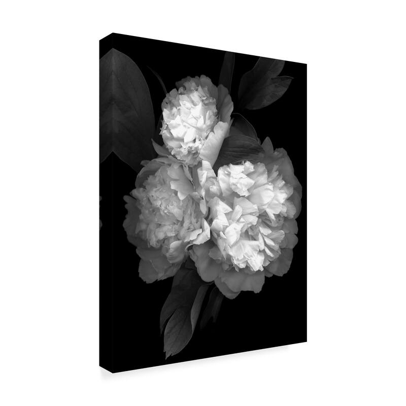 Susan S. Barmon 'Peony 3 Black And White' Canvas Art