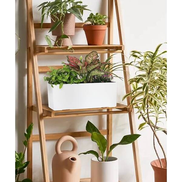 nike planter pot LeBron x Nike Basketball Planter – GoatTalk main image 1
