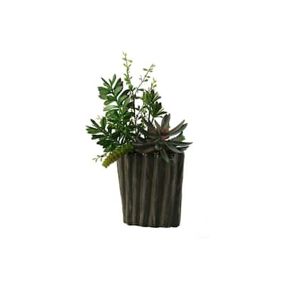HomeStock Succulents, Aloe and Dracaena Heads in Oval Ceramic Planter - Mixed Faux Plant Arrangement for Home Accents - 19