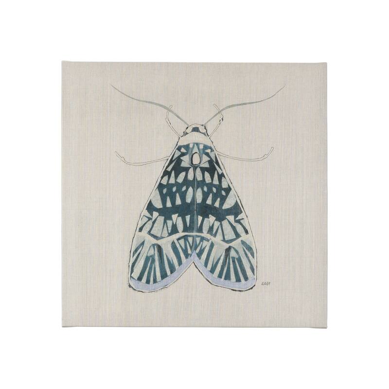Moth Blue I (20 x 20 ) Canvas Art Print - Small